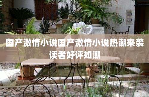 国产激情小说国产激情小说热潮来袭读者好评如潮