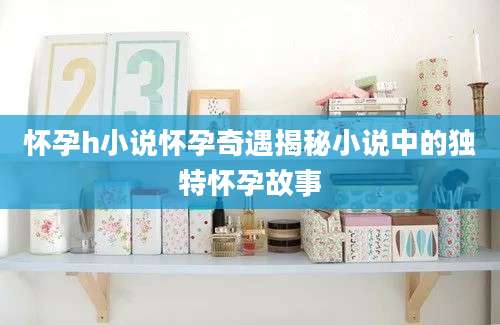 怀孕h小说怀孕奇遇揭秘小说中的独特怀孕故事