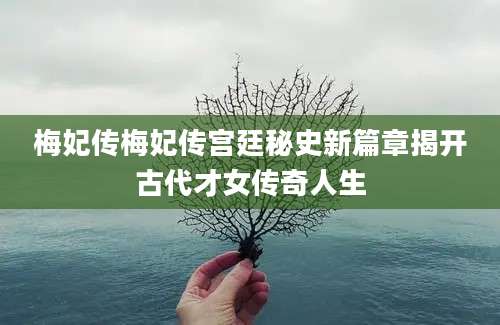 梅妃传梅妃传宫廷秘史新篇章揭开古代才女传奇人生
