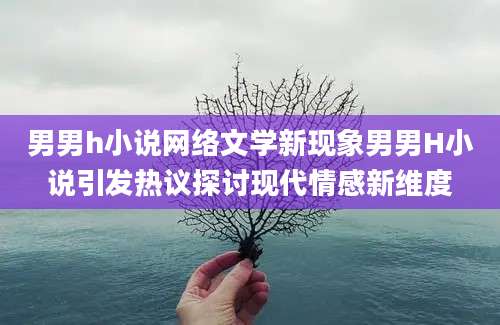 男男h小说网络文学新现象男男H小说引发热议探讨现代情感新维度
