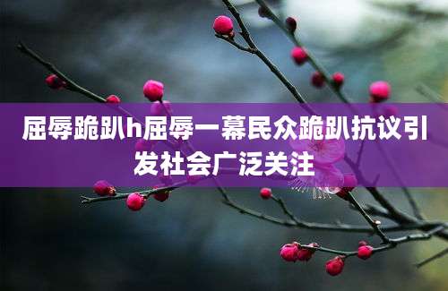 屈辱跪趴h屈辱一幕民众跪趴抗议引发社会广泛关注