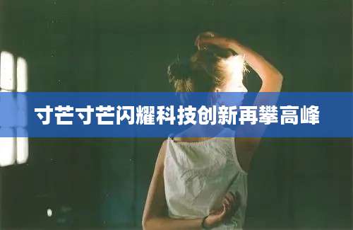 寸芒寸芒闪耀科技创新再攀高峰