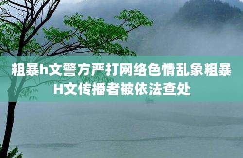 粗暴h文警方严打网络色情乱象粗暴H文传播者被依法查处