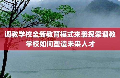 调教学校全新教育模式来袭探索调教学校如何塑造未来人才