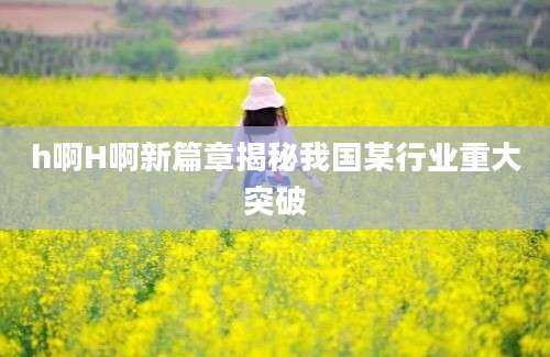 h啊H啊新篇章揭秘我国某行业重大突破