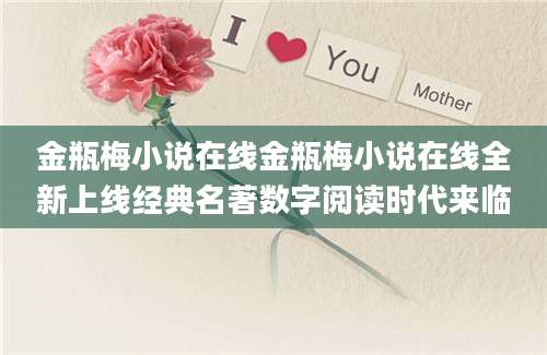 金瓶梅小说在线金瓶梅小说在线全新上线经典名著数字阅读时代来临