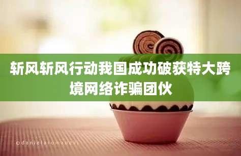 斩风斩风行动我国成功破获特大跨境网络诈骗团伙