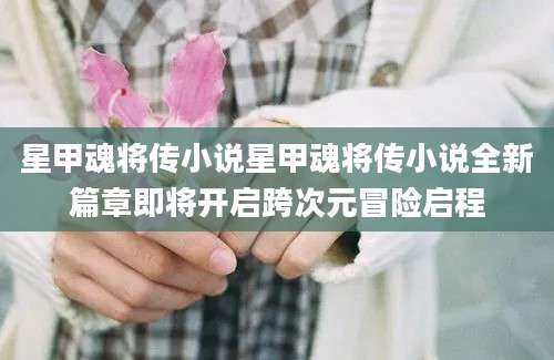 星甲魂将传小说星甲魂将传小说全新篇章即将开启跨次元冒险启程