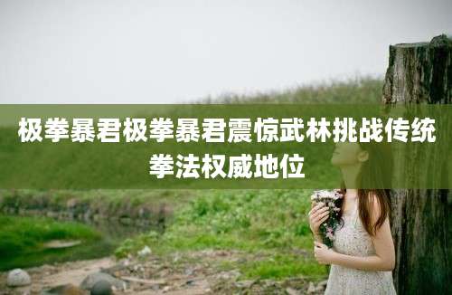极拳暴君极拳暴君震惊武林挑战传统拳法权威地位