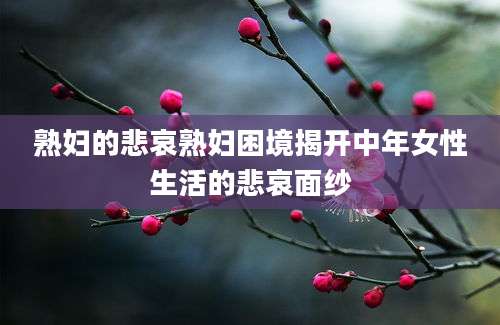 熟妇的悲哀熟妇困境揭开中年女性生活的悲哀面纱