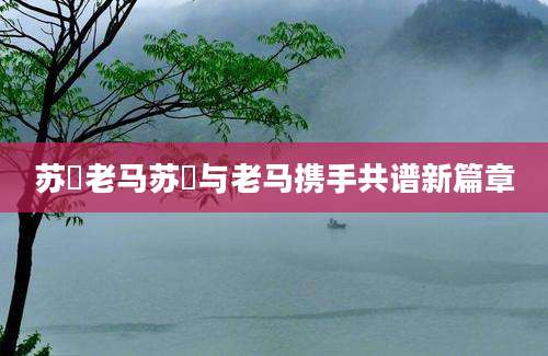 苏玥老马苏玥与老马携手共谱新篇章