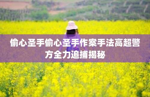 偷心圣手偷心圣手作案手法高超警方全力追捕揭秘