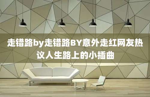 走错路by走错路BY意外走红网友热议人生路上的小插曲