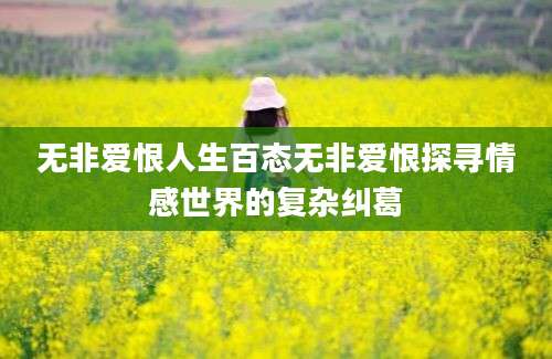 无非爱恨人生百态无非爱恨探寻情感世界的复杂纠葛