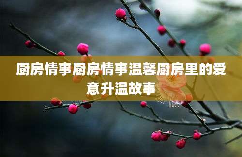 厨房情事厨房情事温馨厨房里的爱意升温故事