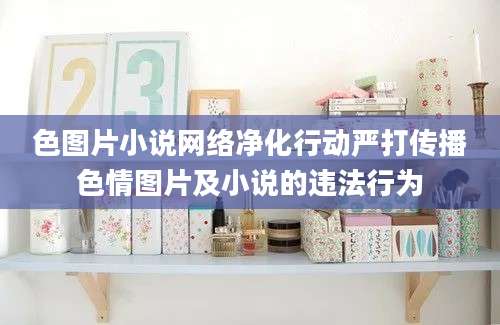 色图片小说网络净化行动严打传播色情图片及小说的违法行为