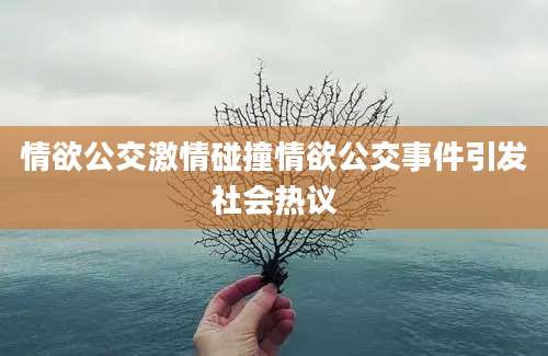 情欲公交激情碰撞情欲公交事件引发社会热议