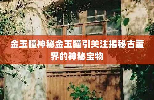 金玉瞳神秘金玉瞳引关注揭秘古董界的神秘宝物