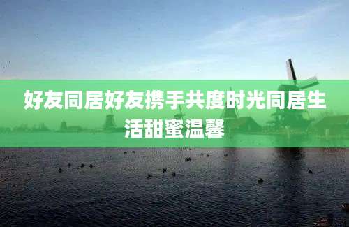 好友同居好友携手共度时光同居生活甜蜜温馨