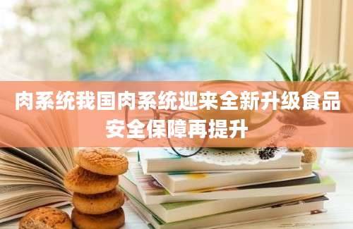 肉系统我国肉系统迎来全新升级食品安全保障再提升