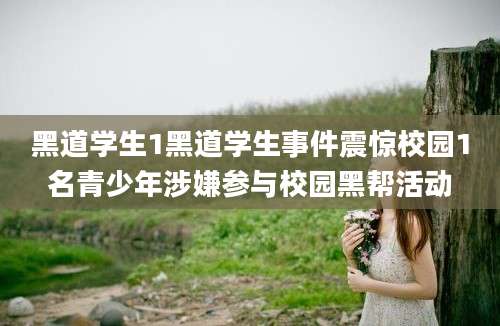 黑道学生1黑道学生事件震惊校园1名青少年涉嫌参与校园黑帮活动