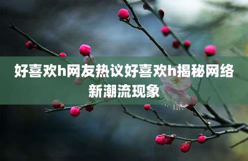 好喜欢h网友热议好喜欢h揭秘网络新潮流现象