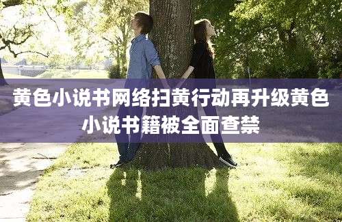 黄色小说书网络扫黄行动再升级黄色小说书籍被全面查禁