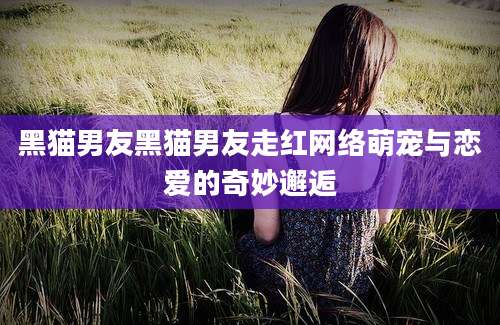 黑猫男友黑猫男友走红网络萌宠与恋爱的奇妙邂逅