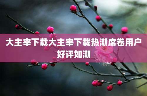 大主宰下载大主宰下载热潮席卷用户好评如潮