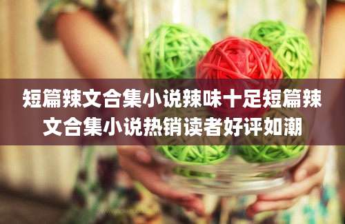 短篇辣文合集小说辣味十足短篇辣文合集小说热销读者好评如潮
