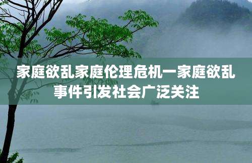 家庭欲乱家庭伦理危机一家庭欲乱事件引发社会广泛关注