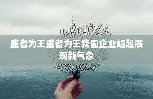 盛者为王盛者为王我国企业崛起展现新气象