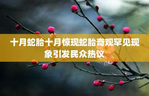 十月蛇胎十月惊现蛇胎奇观罕见现象引发民众热议