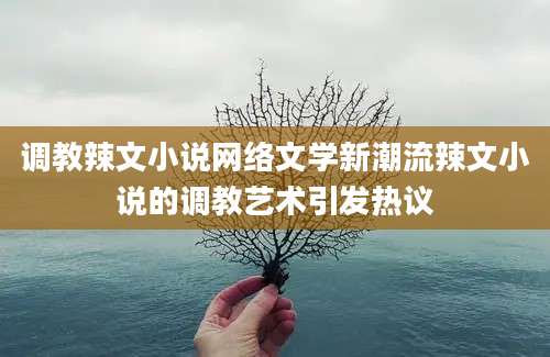 调教辣文小说网络文学新潮流辣文小说的调教艺术引发热议