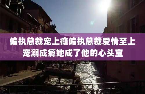 偏执总裁宠上瘾偏执总裁爱情至上宠溺成瘾她成了他的心头宝