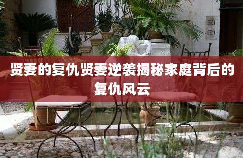 贤妻的复仇贤妻逆袭揭秘家庭背后的复仇风云