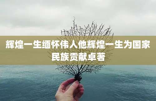 辉煌一生缅怀伟人他辉煌一生为国家民族贡献卓著