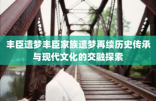 丰臣遗梦丰臣家族遗梦再续历史传承与现代文化的交融探索