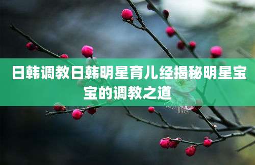 日韩调教日韩明星育儿经揭秘明星宝宝的调教之道