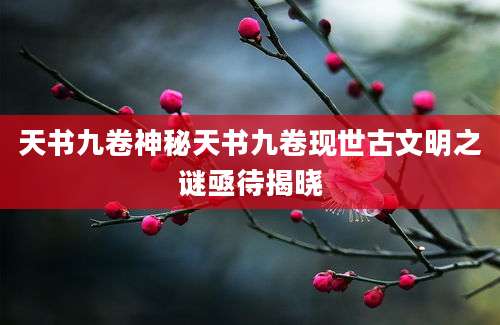 天书九卷神秘天书九卷现世古文明之谜亟待揭晓