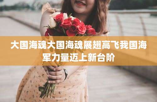 大国海魂大国海魂展翅高飞我国海军力量迈上新台阶