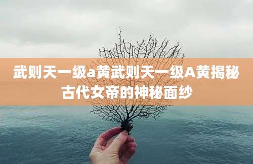 武则天一级a黄武则天一级A黄揭秘古代女帝的神秘面纱