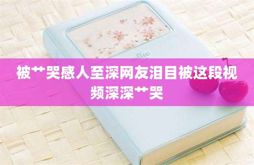 被艹哭感人至深网友泪目被这段视频深深艹哭