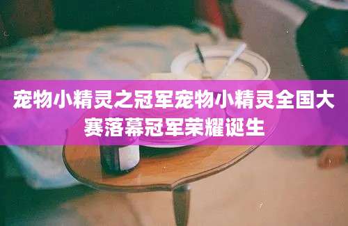 宠物小精灵之冠军宠物小精灵全国大赛落幕冠军荣耀诞生