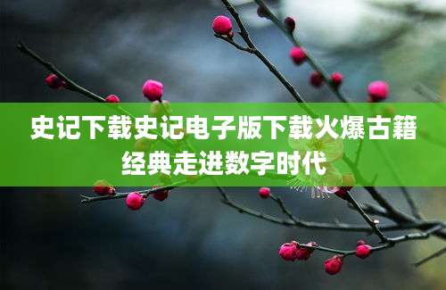 史记下载史记电子版下载火爆古籍经典走进数字时代