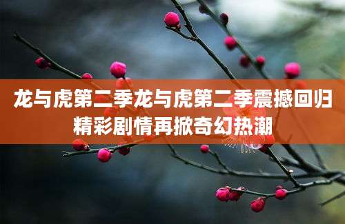 龙与虎第二季龙与虎第二季震撼回归精彩剧情再掀奇幻热潮