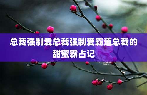 总裁强制爱总裁强制爱霸道总裁的甜蜜霸占记