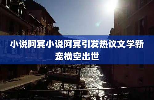 小说阿宾小说阿宾引发热议文学新宠横空出世
