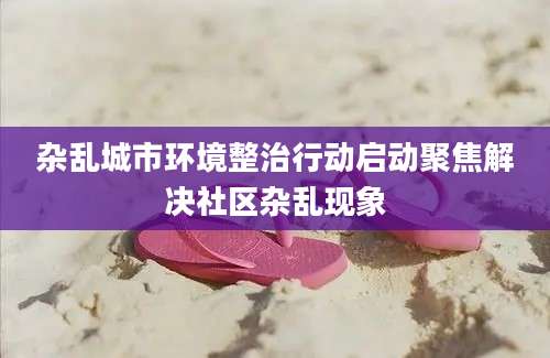 杂乱城市环境整治行动启动聚焦解决社区杂乱现象