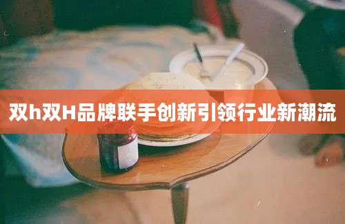 双h双H品牌联手创新引领行业新潮流